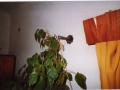 kovany_nabytek_022