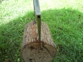 bradatice_018